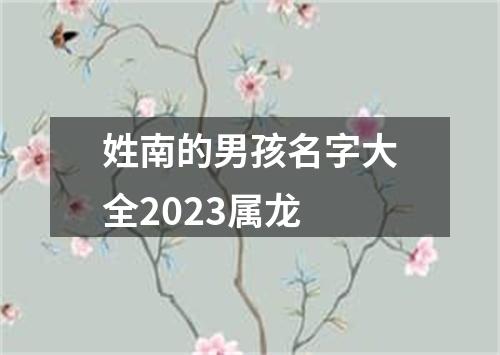 姓南的男孩名字大全2023属龙