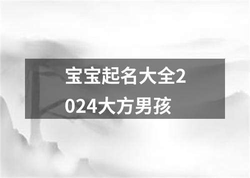 宝宝起名大全2024大方男孩