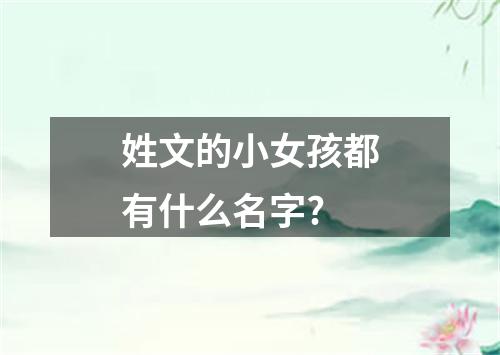 姓文的小女孩都有什么名字?