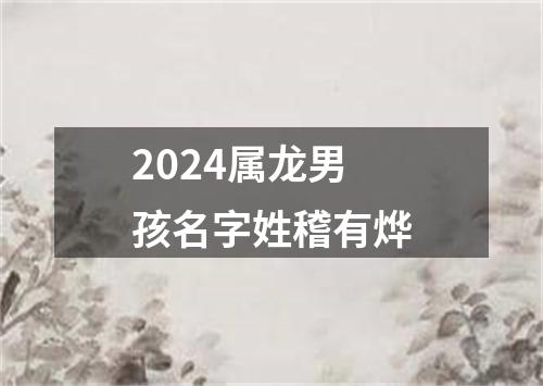 2024属龙男孩名字姓稽有烨