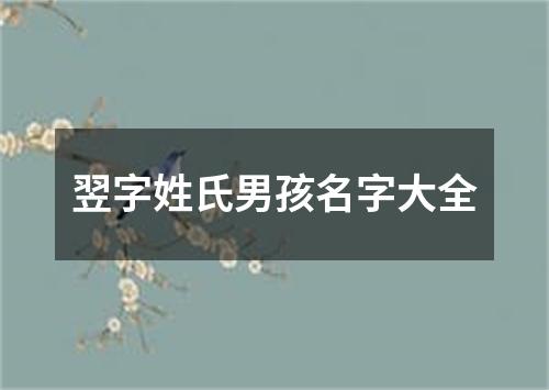 翌字姓氏男孩名字大全