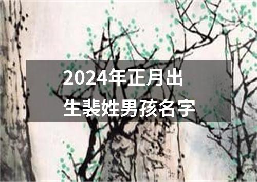 2024年正月出生裴姓男孩名字