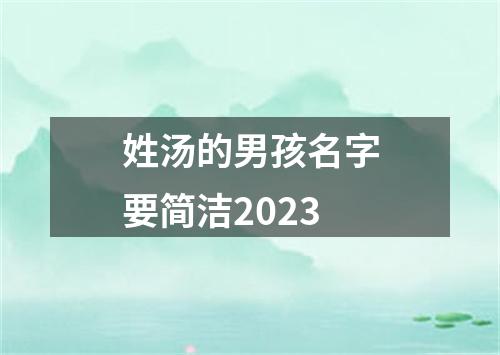 姓汤的男孩名字要简洁2023