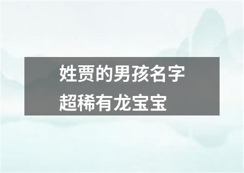 姓贾的男孩名字超稀有龙宝宝