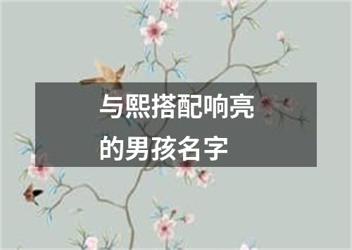 与熙搭配响亮的男孩名字