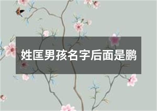 姓匡男孩名字后面是鹏