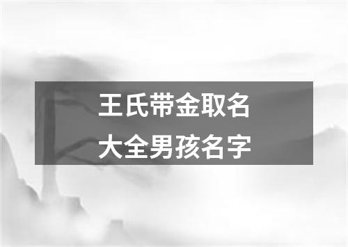 王氏带金取名大全男孩名字