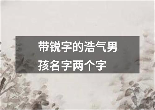 带锐字的浩气男孩名字两个字