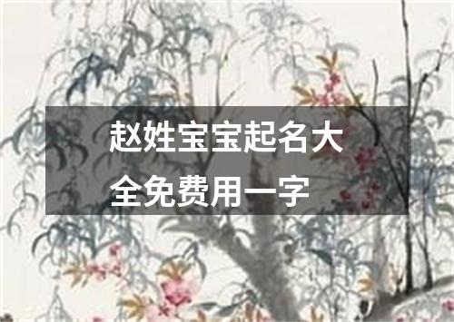 赵姓宝宝起名大全免费用一字