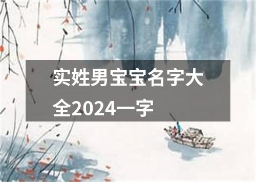 实姓男宝宝名字大全2024一字