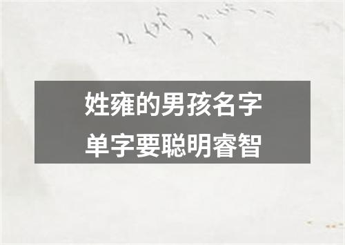 姓雍的男孩名字单字要聪明睿智