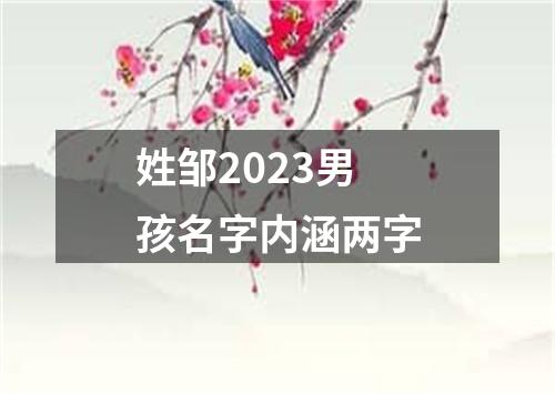 姓邹2023男孩名字内涵两字