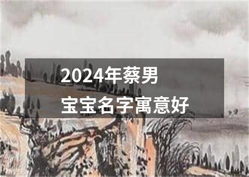 2024年蔡男宝宝名字寓意好