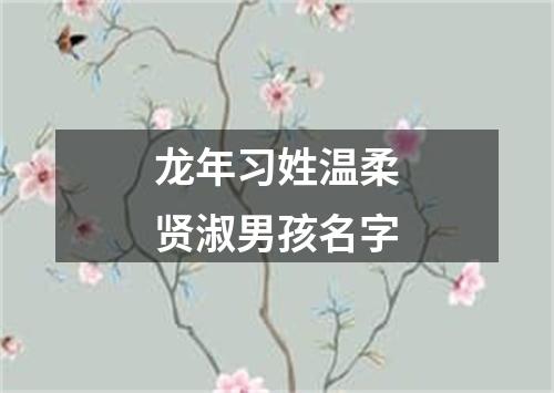 龙年习姓温柔贤淑男孩名字