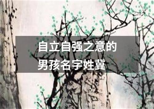 自立自强之意的男孩名字姓冀