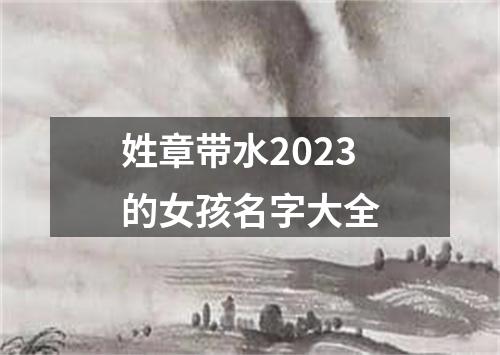 姓章带水2023的女孩名字大全