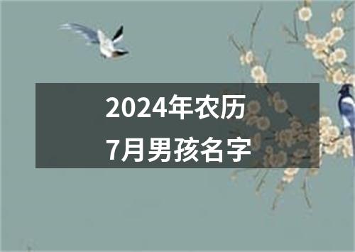 2024年农历7月男孩名字