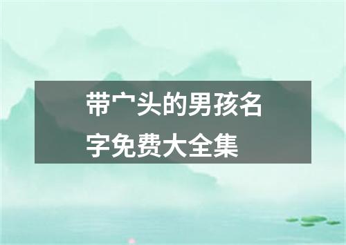 带宀头的男孩名字免费大全集