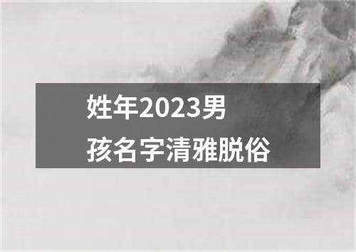 姓年2023男孩名字清雅脱俗