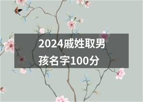 2024戚姓取男孩名字100分