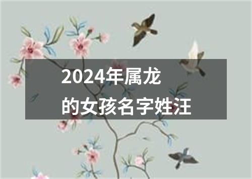 2024年属龙的女孩名字姓汪