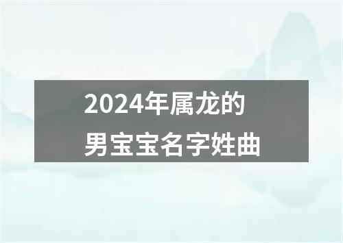 2024年属龙的男宝宝名字姓曲