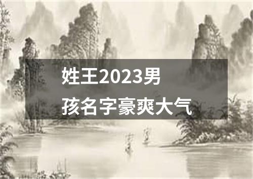 姓王2023男孩名字豪爽大气