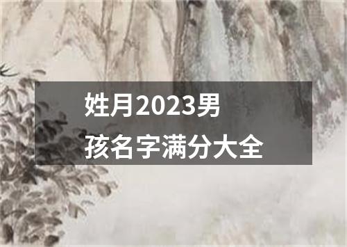 姓月2023男孩名字满分大全