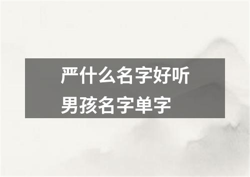 严什么名字好听男孩名字单字