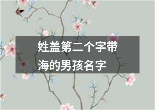 姓盖第二个字带海的男孩名字