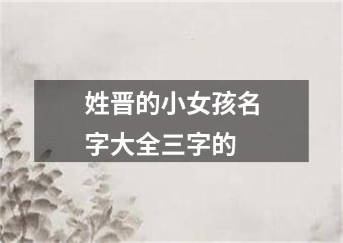 姓晋的小女孩名字大全三字的