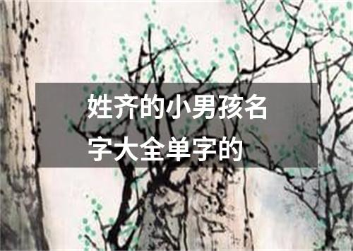 姓齐的小男孩名字大全单字的