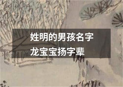 姓明的男孩名字龙宝宝扬字辈