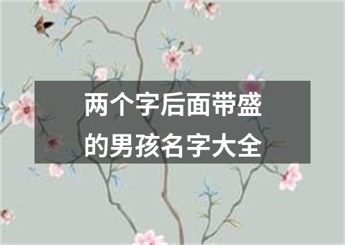 两个字后面带盛的男孩名字大全