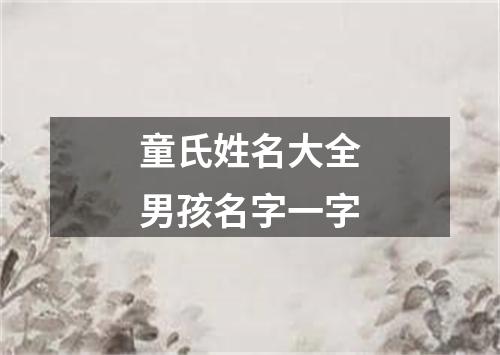 童氏姓名大全男孩名字一字