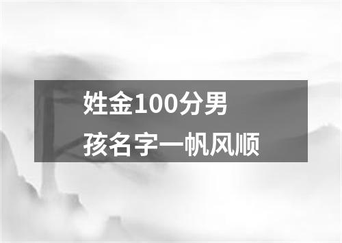 姓金100分男孩名字一帆风顺