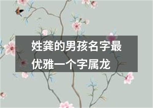 姓龚的男孩名字最优雅一个字属龙