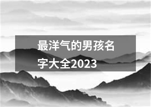 最洋气的男孩名字大全2023