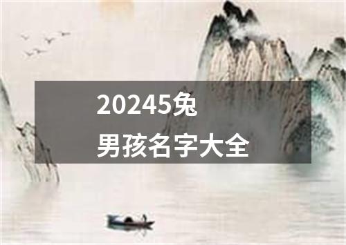 20245兔男孩名字大全