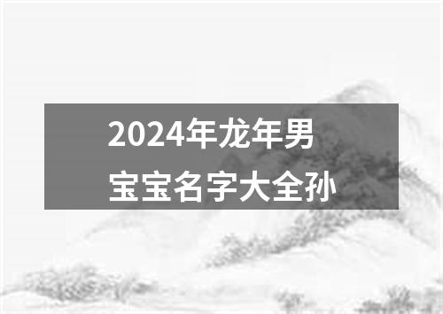 2024年龙年男宝宝名字大全孙