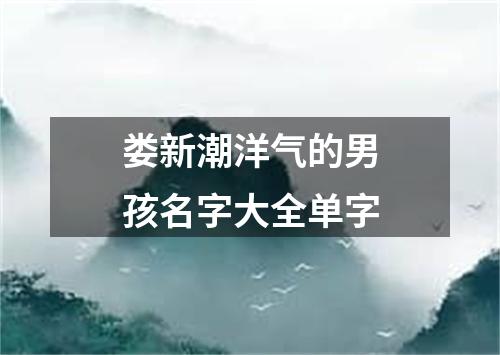 娄新潮洋气的男孩名字大全单字