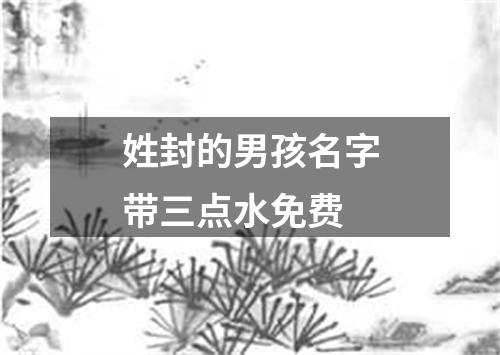 姓封的男孩名字带三点水免费