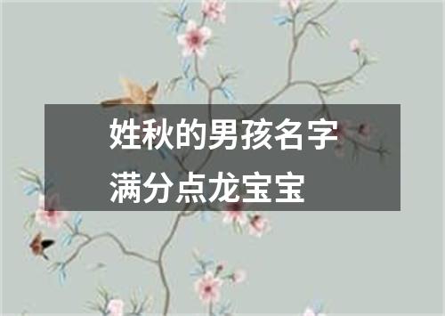 姓秋的男孩名字满分点龙宝宝