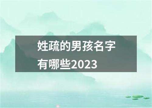 姓疏的男孩名字有哪些2023