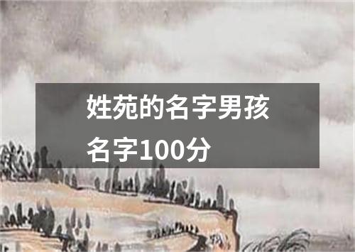 姓苑的名字男孩名字100分