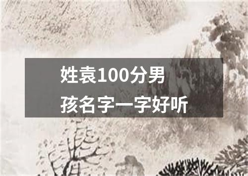 姓袁100分男孩名字一字好听