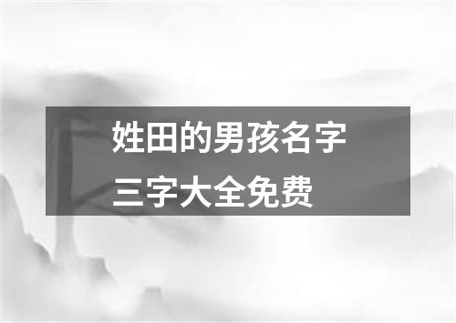 姓田的男孩名字三字大全免费