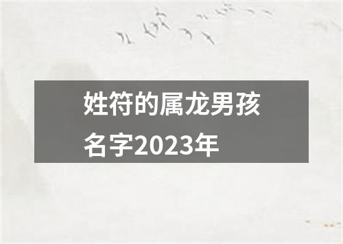 姓符的属龙男孩名字2023年