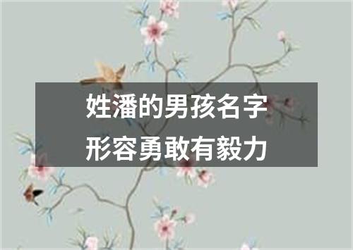 姓潘的男孩名字形容勇敢有毅力