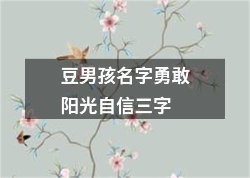 豆男孩名字勇敢阳光自信三字